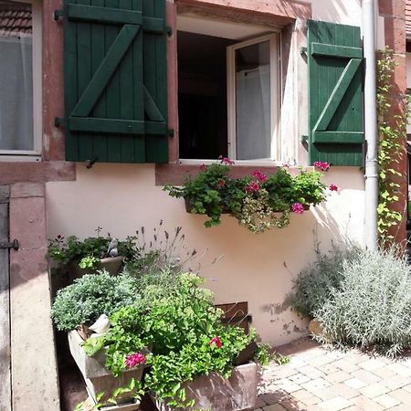 Charmant Petit Appartement En Alsace Bouxwiller  Zewnętrze zdjęcie