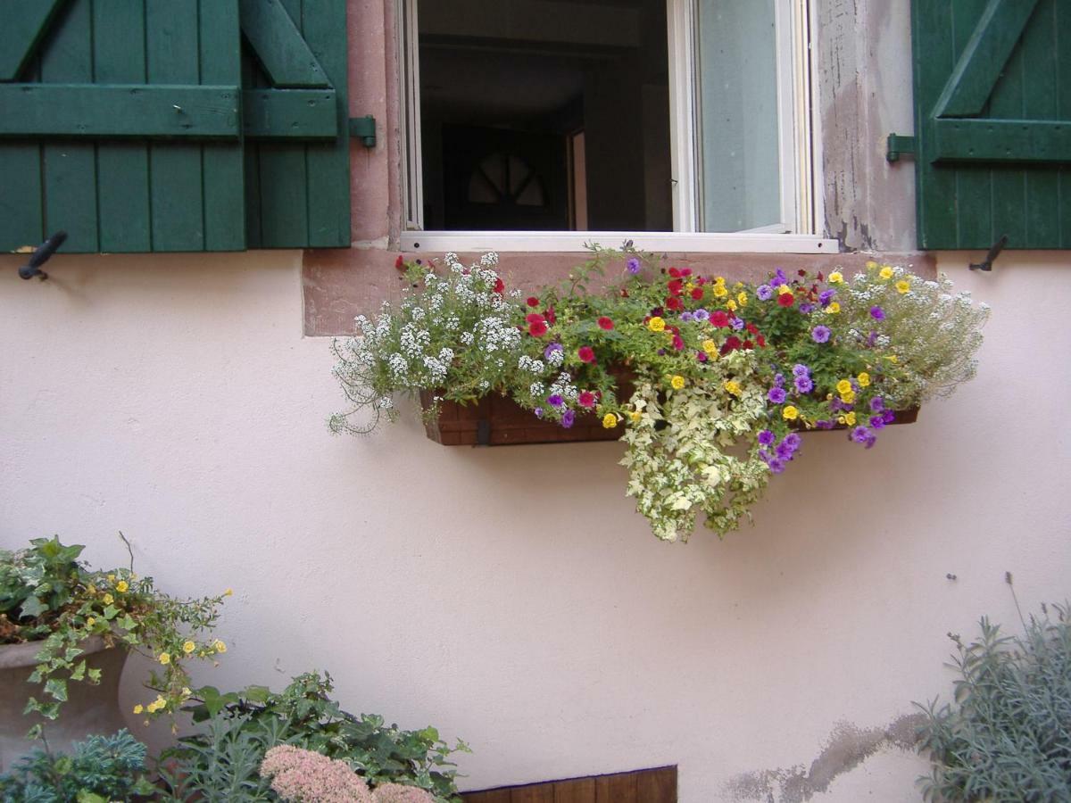 Charmant Petit Appartement En Alsace Bouxwiller  Zewnętrze zdjęcie