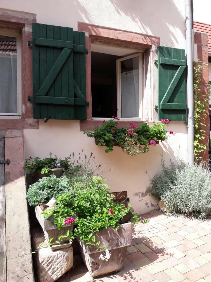 Charmant Petit Appartement En Alsace Bouxwiller  Zewnętrze zdjęcie